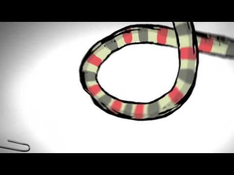 TV3 - 33 recomana - Kevin Johansen + The Nada + Liniers. Bikini