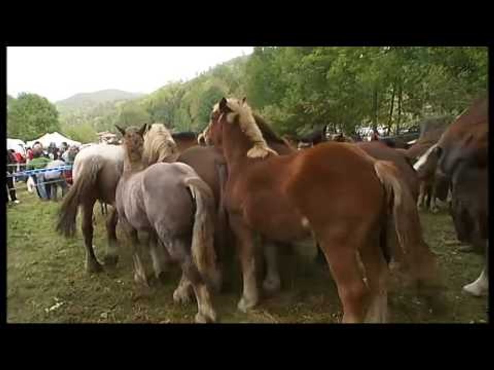 Muntar-s'ho bé