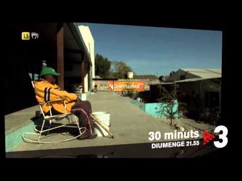 TV3 - Diumenge, a les 21.50 - Ni vius ni morts a 30 minuts