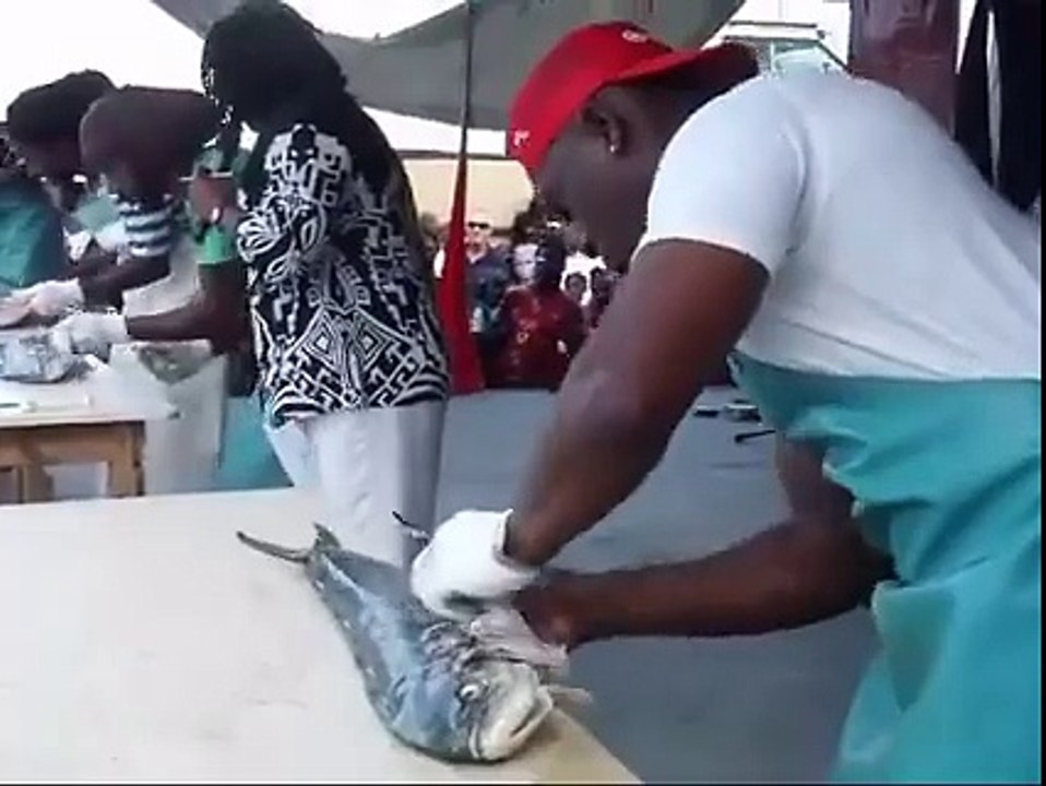 amazing fish cating
