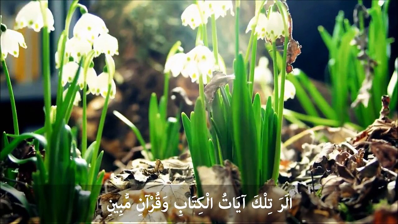 صوت عذب للشيخ خالد الجليل مع مناظر عالية الدقة HD 1080