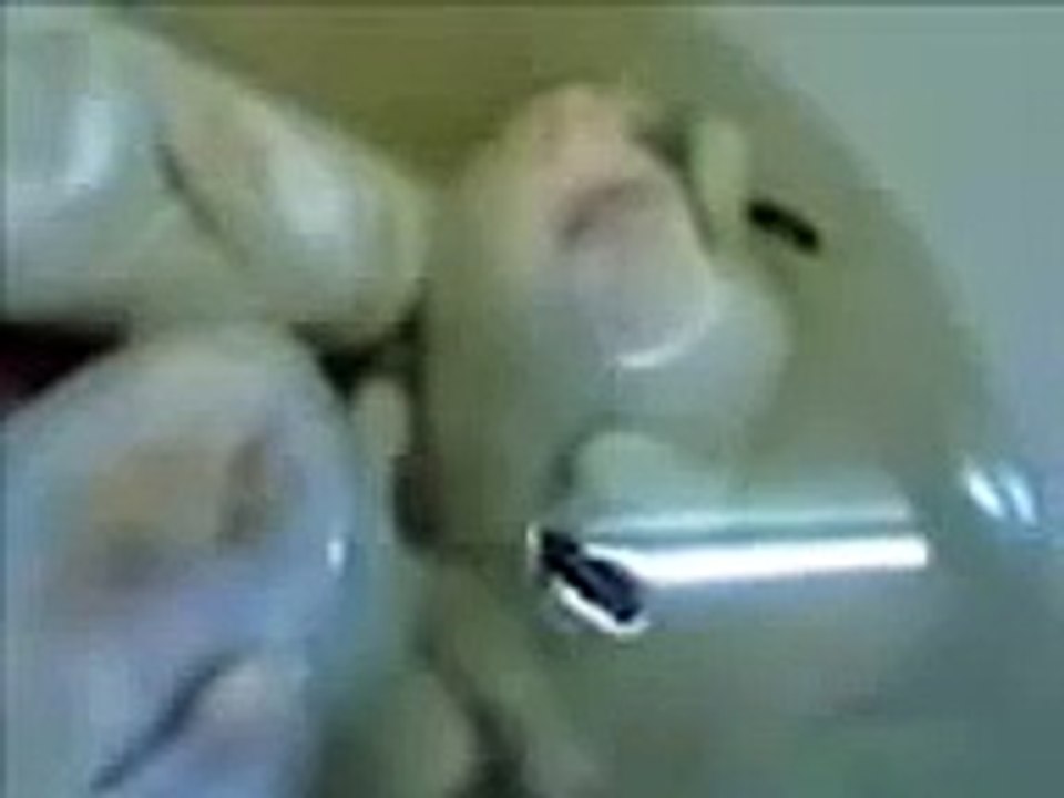 فضايح مطعم بخاري