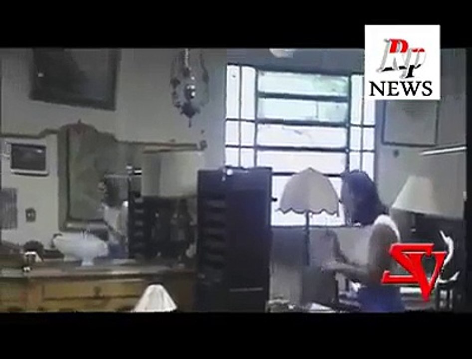 funny video