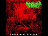 Amputated Genitals - Rites of Brutality.wmv