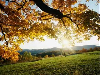 Willeke alberti - Ik voel jou tranen