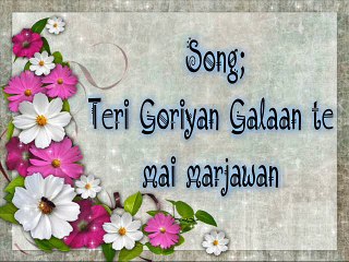 teri goriyan galaan te mai mar By (Faisal Mehmood)