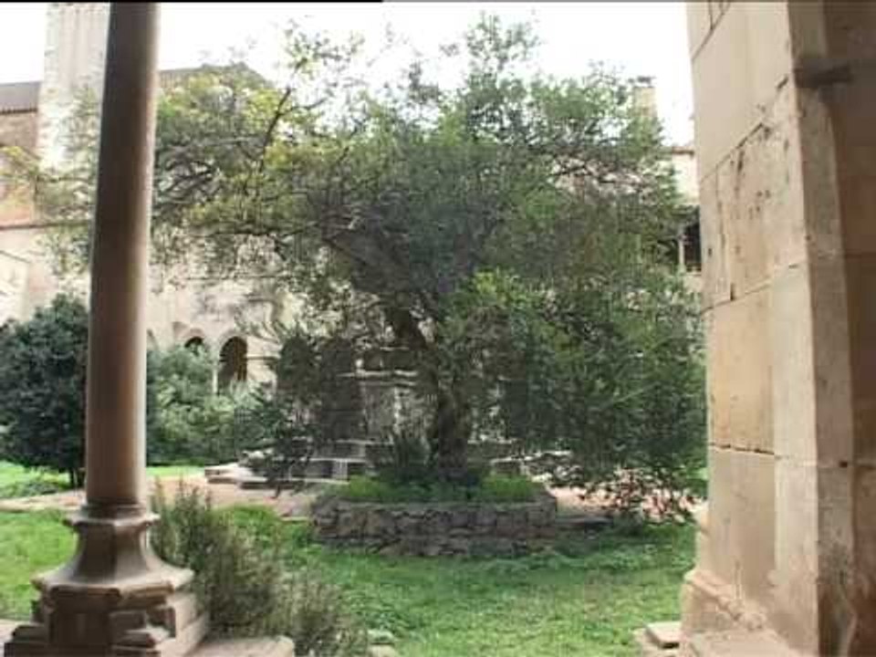 Antíl·lia retrobada-1