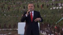 Erdoğan: 