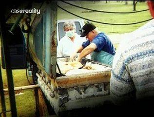 Medical Detectives - Soiled Plan