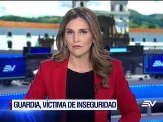 Delincuentes golpean a guardia y matan a sus perros en Quito