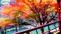 2013.11.27 京都嵐山小火車楓紅