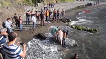 Zonguldak - Üniversiteli Genci Kurtarmak İsterken Kendisi de Boğuldu