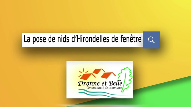 Pose de nids d'Hirondelles de fenêtre