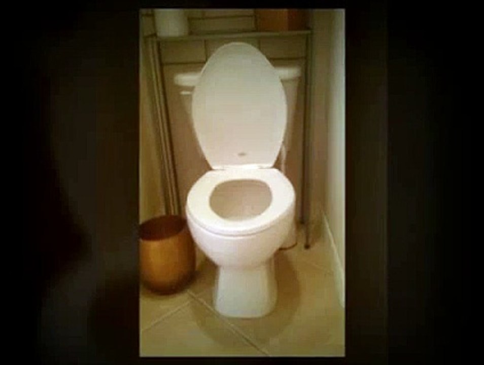 Home Inspectors Orlando Show Bathroom Tip 101