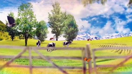 RROKUM ROLL 19.05.2015 (E77)