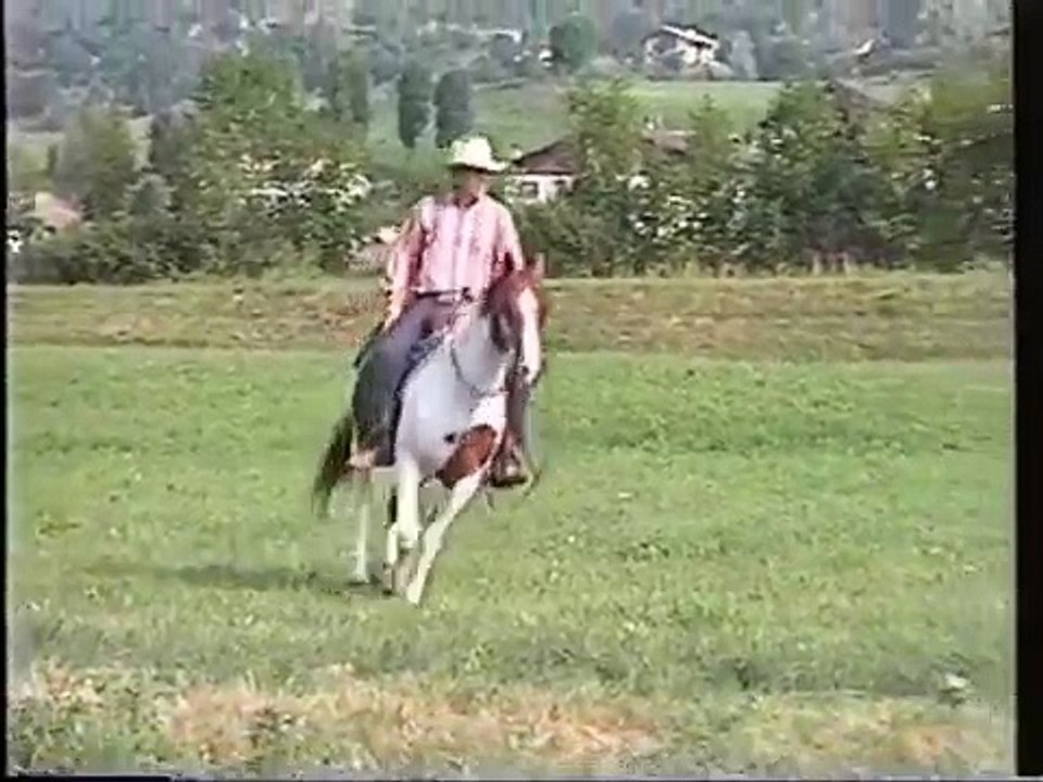 RDVideo - Peppysfallingstar - Paint horse story