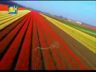 Aisa Tujhay Khaliq Ne by  Haji Mushtaq Qadri