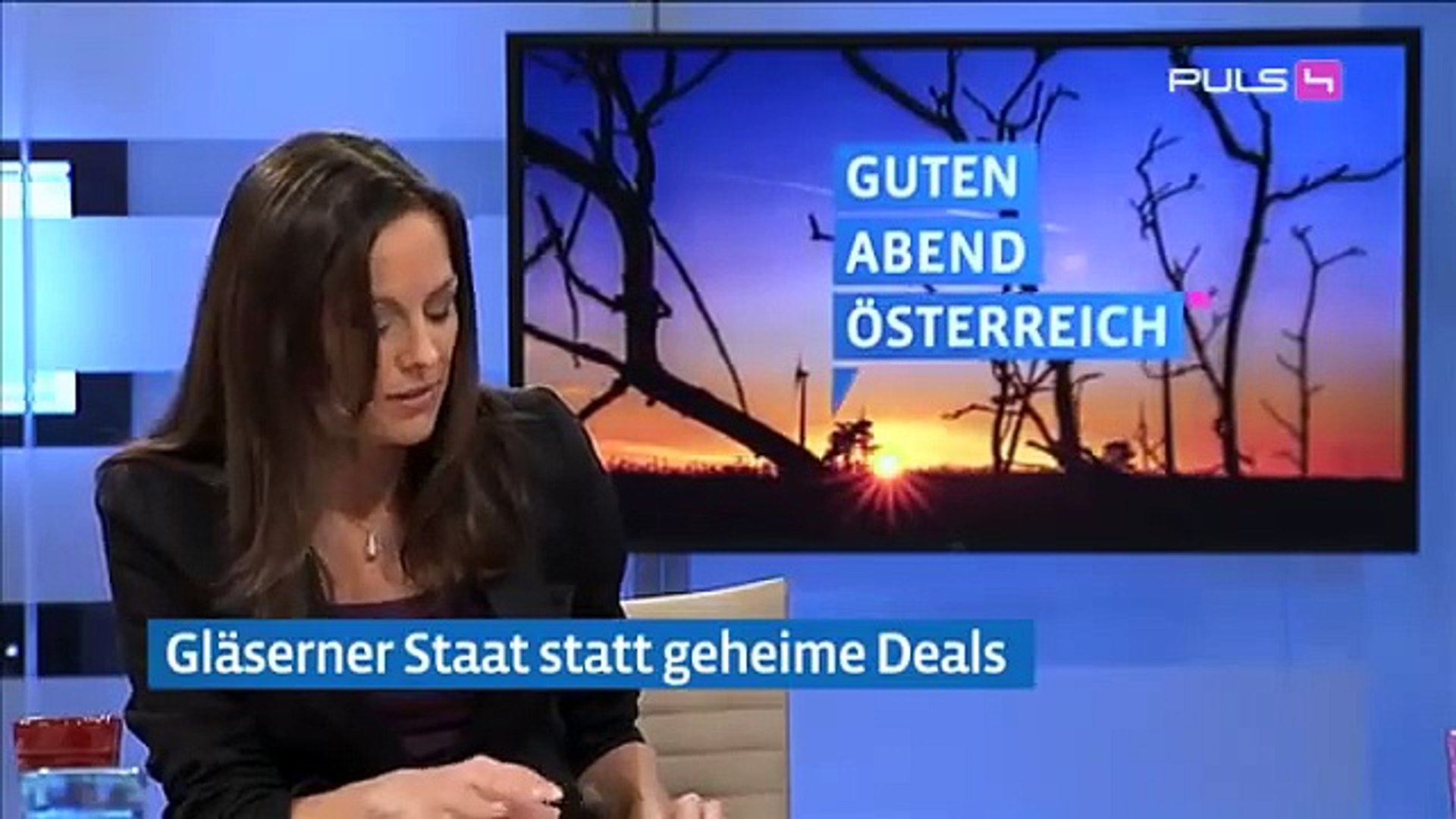 ⁣Gläserner Staat statt geheime Deals  Sebastian Kurz ... auf puls4