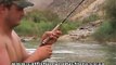 Sharptooth Catfish on 5 weight Fly Rod in the Orange River - by Catfish Joe Fishing