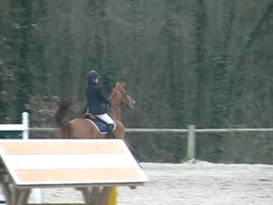 les facéties de Louve ...