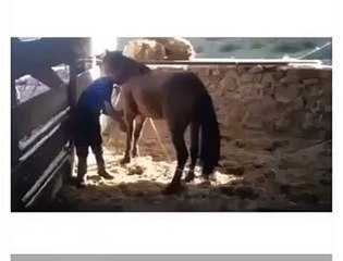 Meme votre propre cheval peut vous faire du tord