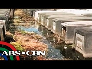 Mga sementeryo sa Pampanga, lubog sa baha