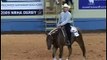 Reining Horses for Sale