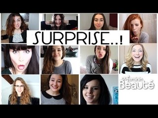 "Chat Beauté" : Opération lancée !