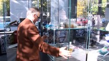 Pilzausstellung: In der Uni-Bibliothek geht es um das Leben im Verborgenen