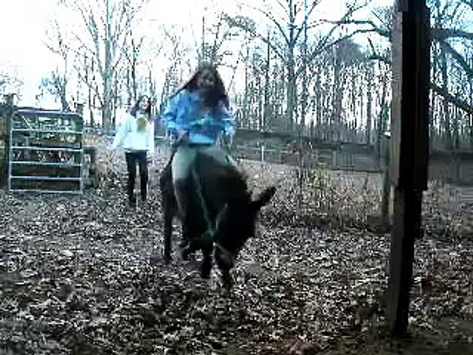 .Intense Donkey Riding :3.
