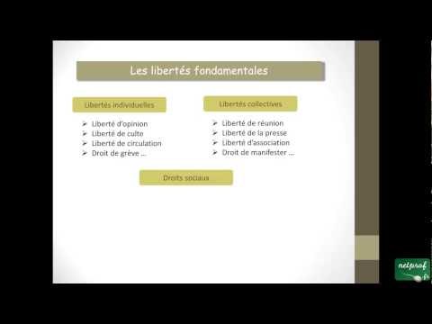 Droit : Les droits fondamentaux