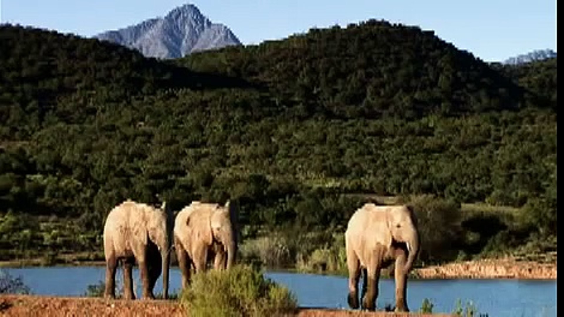 South African Tourism Advertisement!