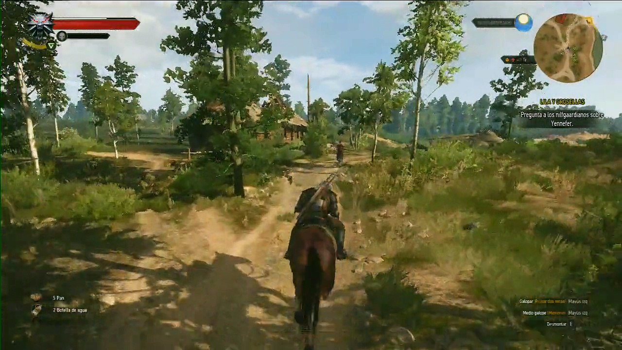 The witcher Wild hunt, parte 4, El capitan Peter Sahar