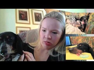 TV3 - Generació Digital - Generació Digital - capítol 139