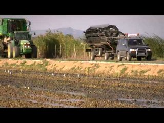 TV3 - Collita pròpia - Arròs