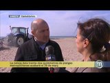 TV3 - Els Matins - Veiem com comença la neteja de les platges