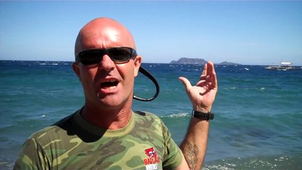 Apo Island, Dumaguete, Philippines