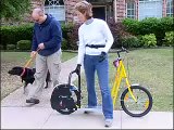 dog powered scooter - Tess April 2007