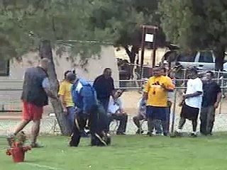 French Ring Decoy Cert