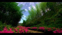 [Beautiful China 720HD] Scenery of Jinggang Mountain / 井冈山