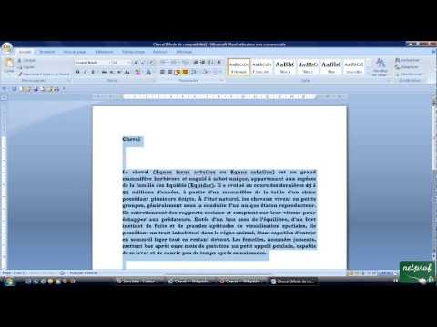 19 - Copier, collage spécial texte web sur Word, insérer image