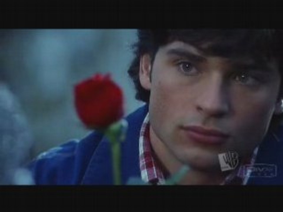 Rose of a dead.