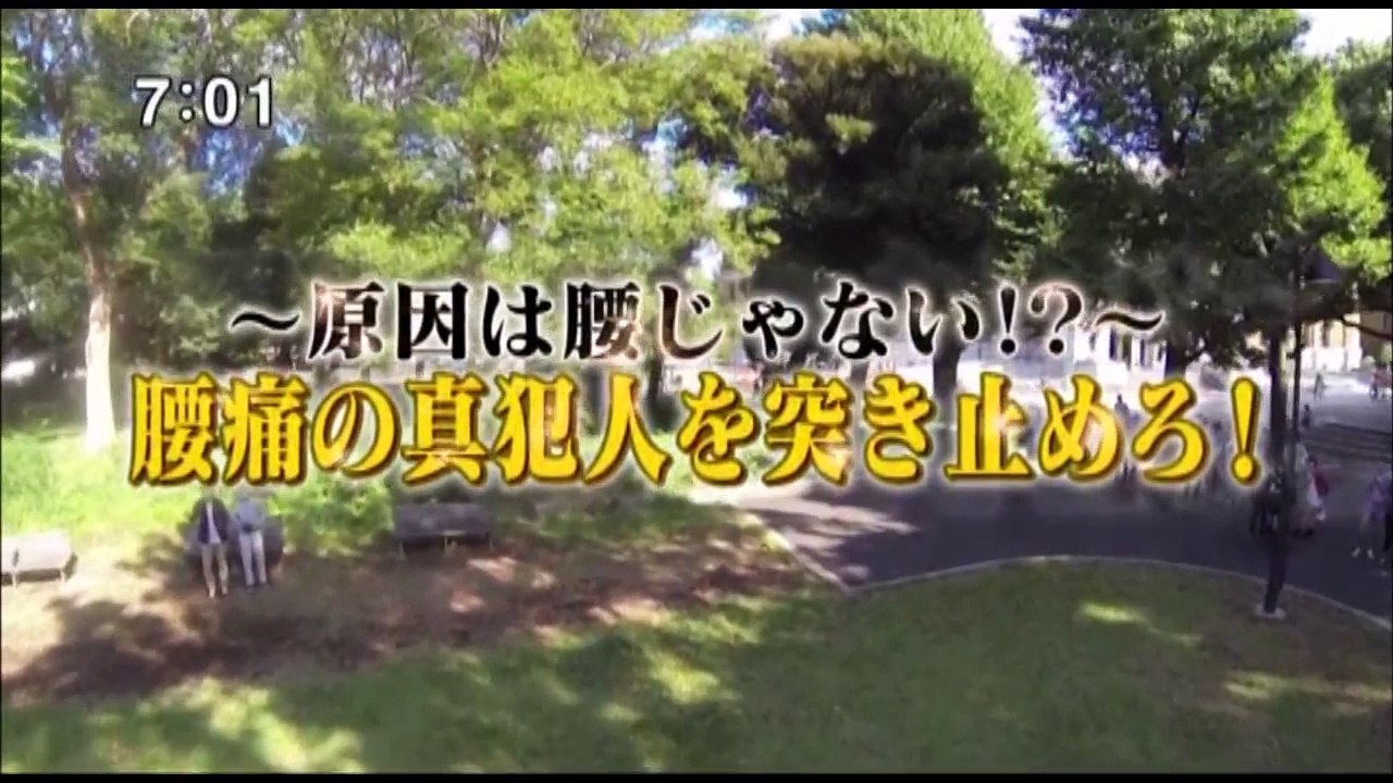 健康カプセル! ゲンキの時間10月27日放送「腰痛は脳が原因？」