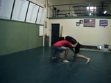 Jujitsu and Judo Throws