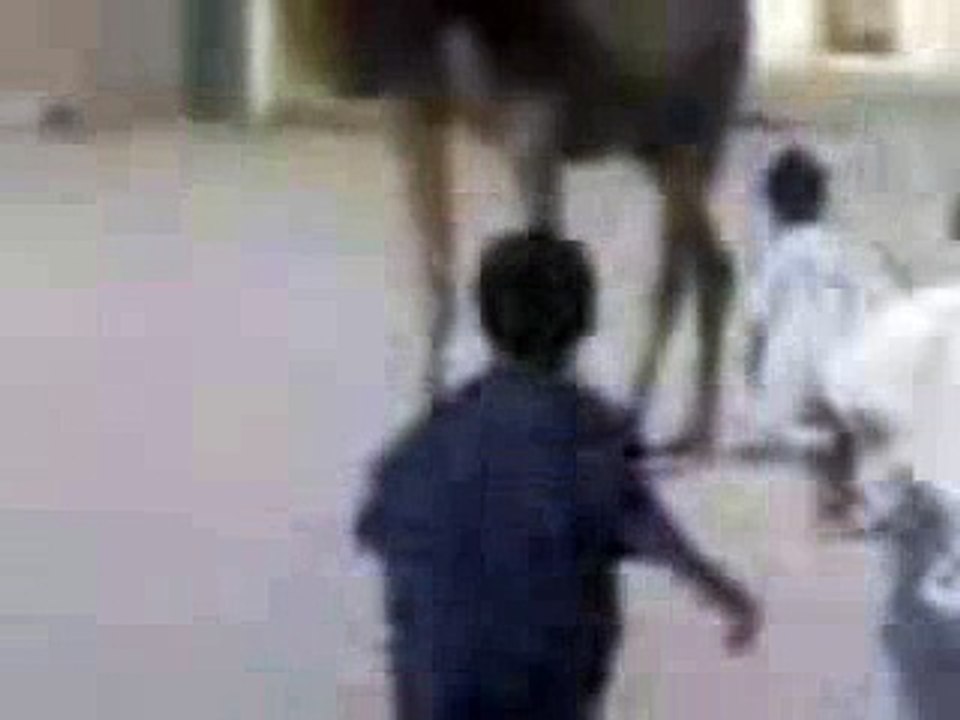 ملاهي بدو