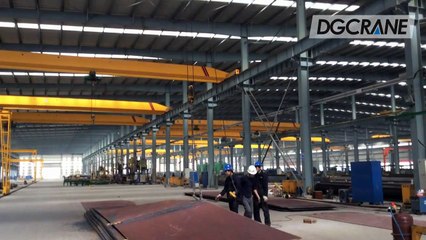 Single girder overhead crane from DGCRANE