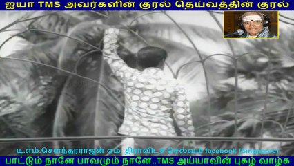 Hello Partner 1972  (TMS Legend)  125