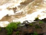 Cataratas del Iguazú【Devil's Throat】Garganta del Diablo