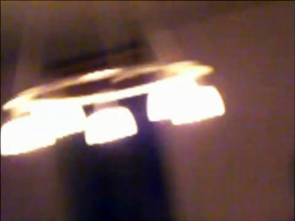 Bat flying in house bright