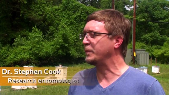 Saving the honey bees - Reuter news for more visit reuters.com